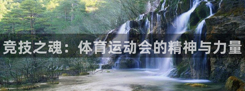 中欧体育全站app：竞技之魂：体育运动会的精神与力量