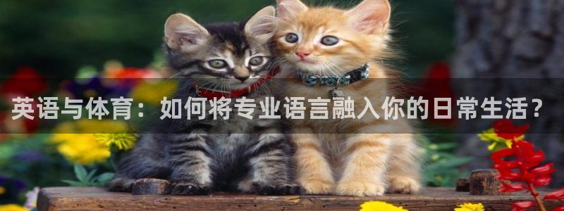 中欧体育网址：英语与体育：如何将专业语言融入你的日常生活？