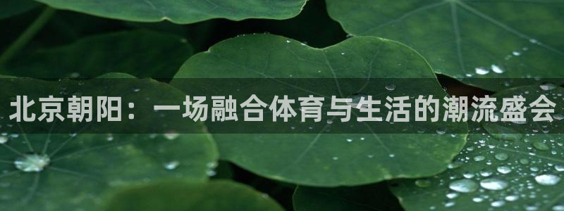 中欧体育官网：北京朝阳：一场融合体育与生活的潮流盛会