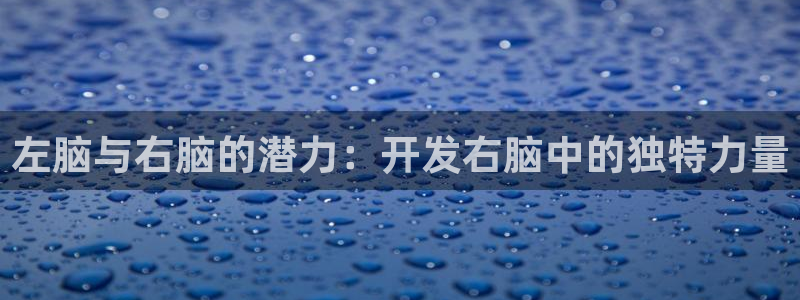 中欧体育网页版：左脑与右脑的潜力：开发右脑中的独特力量